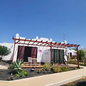 Silvia Antigua (Fuerteventura)